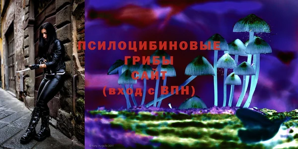 соль курить ск Магас