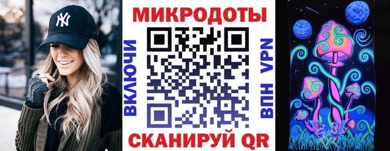 где можно купить   Шатура  Псилоцибиновые грибы Cubensis 