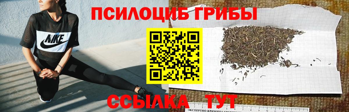 Псилоцибиновые грибы прущие грибы  где можно купить наркотик  Вход с VPN  Шатура  Галлюциногенные грибы Psilocybe 