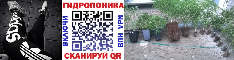 Канабис ГИДРОПОН Шатура